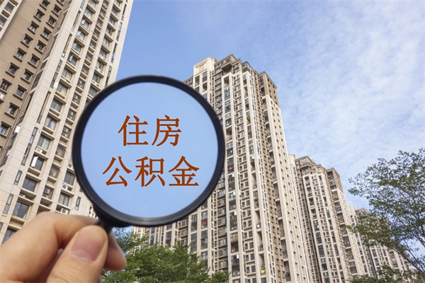 平阳14年公积金多少钱（平阳14年公积金利率是多少）